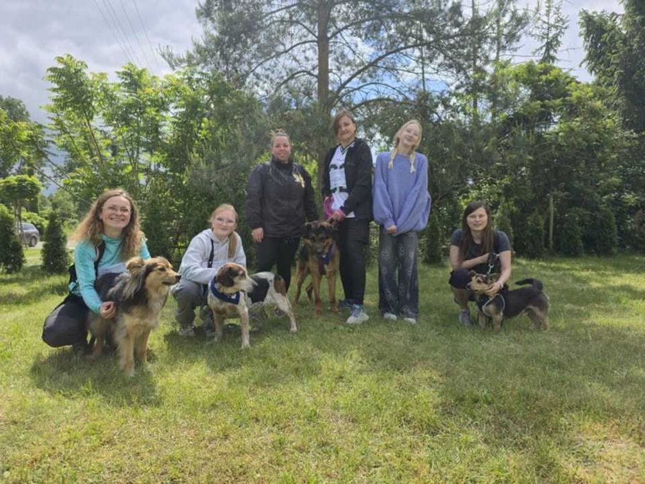 Szuka opiekuna, który będzie jego przewodnikiem i przyjacielem