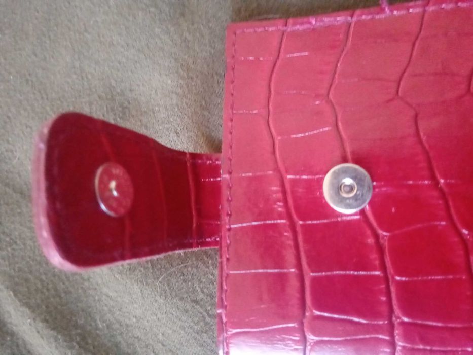 Футляр для очков красный США