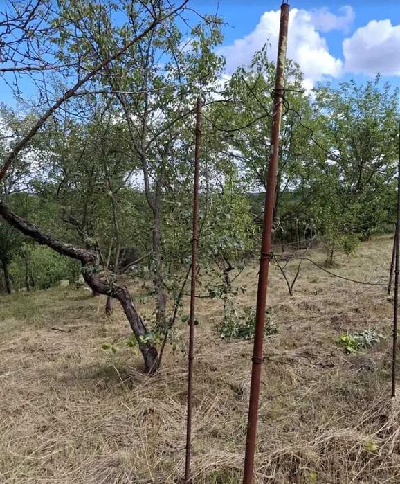 Продається ділянка у мальовничому місці під садівництво