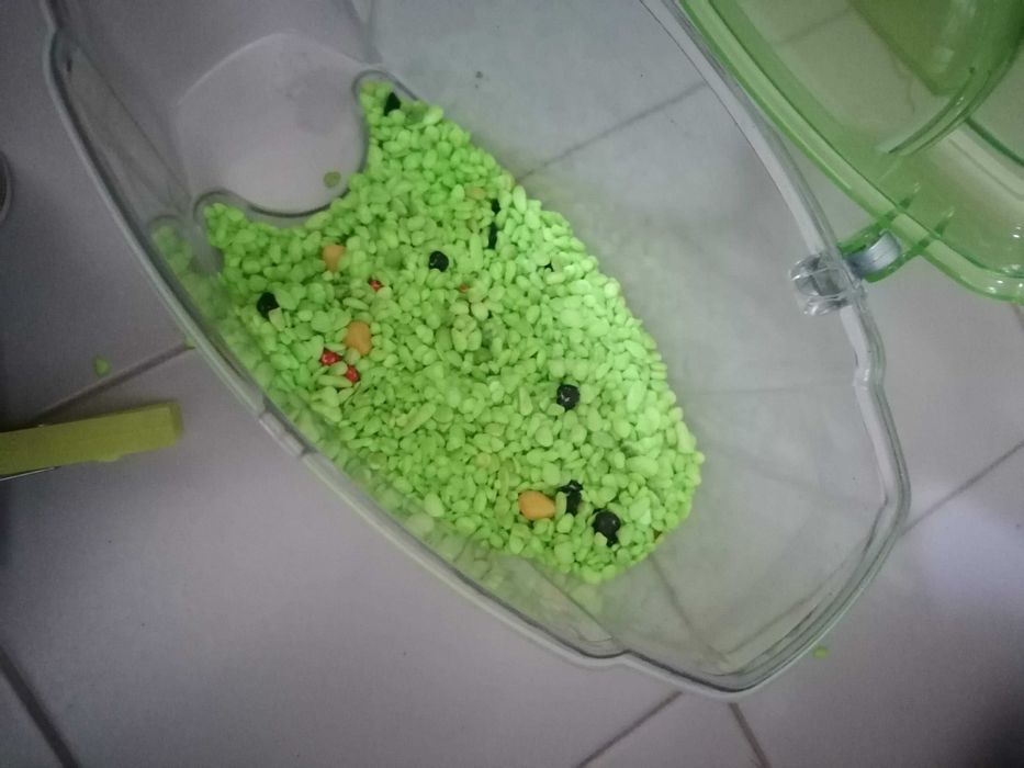 Aquário para peixes Betta