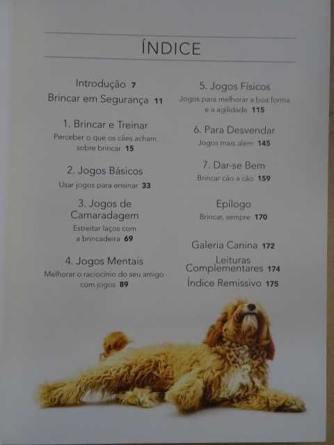 Jogos Divertidos para Treinar o Seu Cão de Sophie Collins - 1ª Edição
