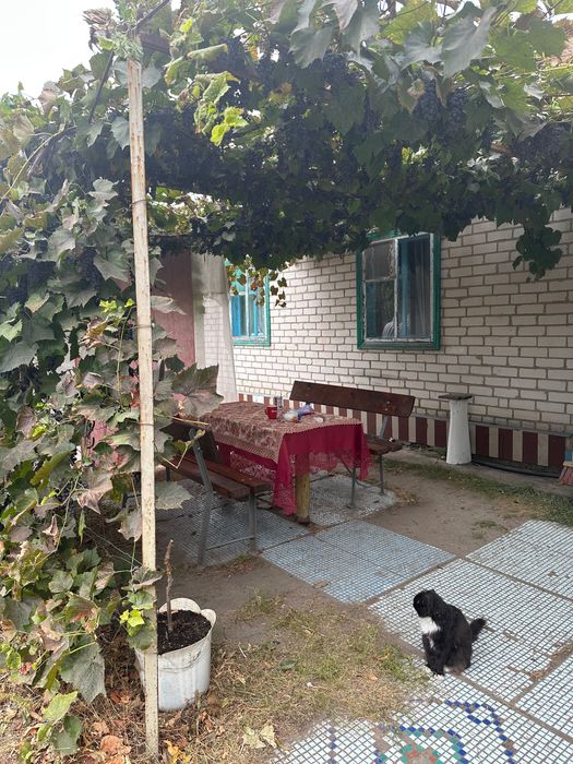 Продаж будинку з великою територією поряд з лісом с. Чорнявка