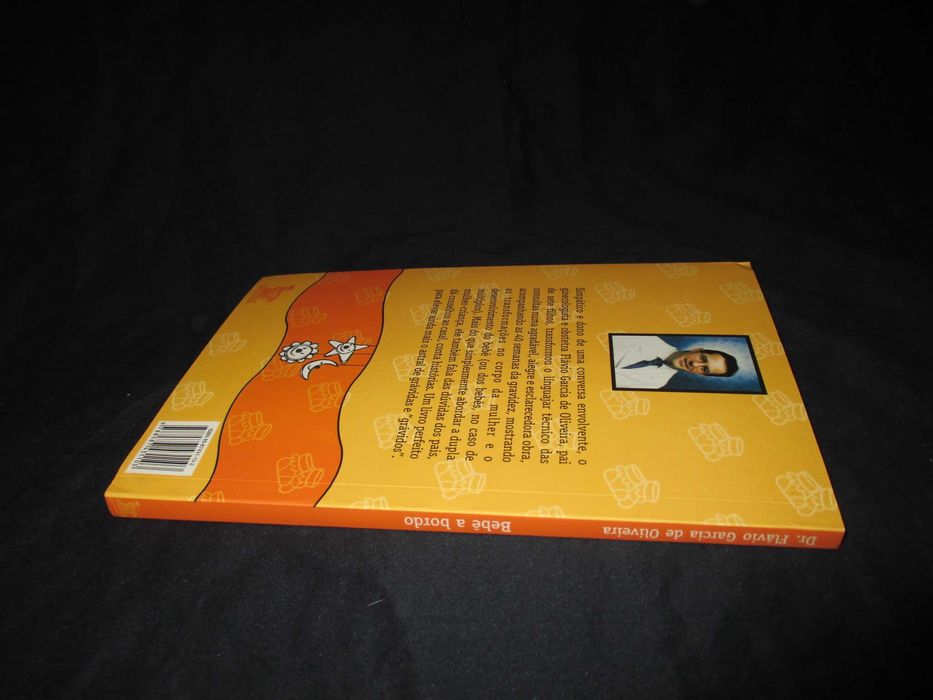 Livro Bebé a bordo guia para curtir a gravidez a dois