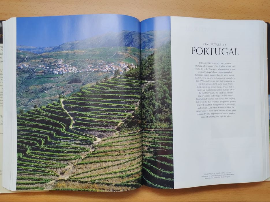 Enciclopédia do Vinho da Sotheby’s