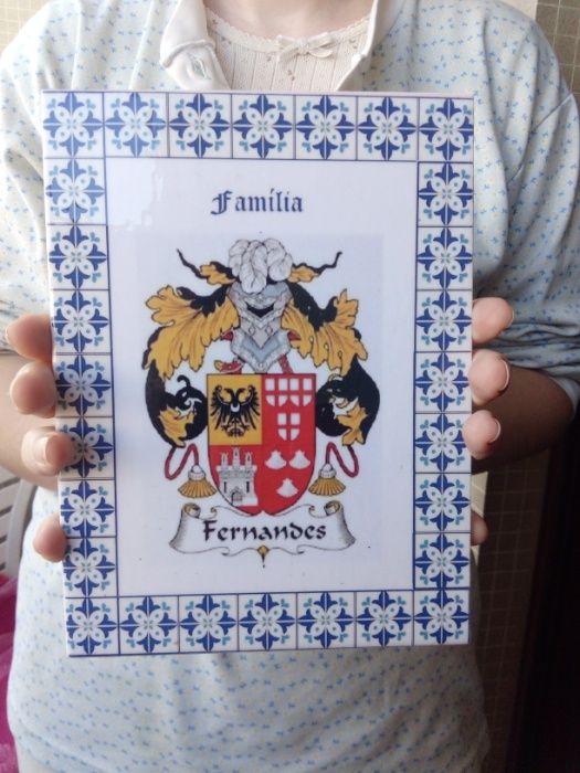 Brasões de família em azulejos cerâmicos portugueses