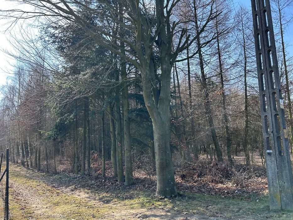 Działka budowlano-leśna