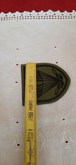 Emblema Paraquedistas da  Força Aérea