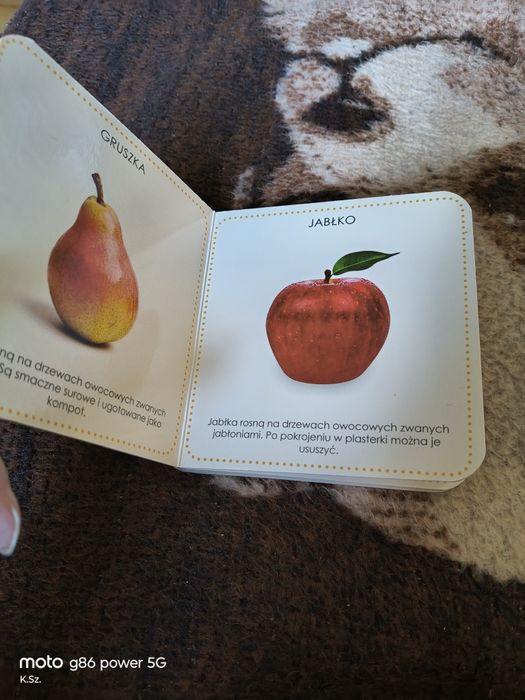 Książeczka z grubymi kartki