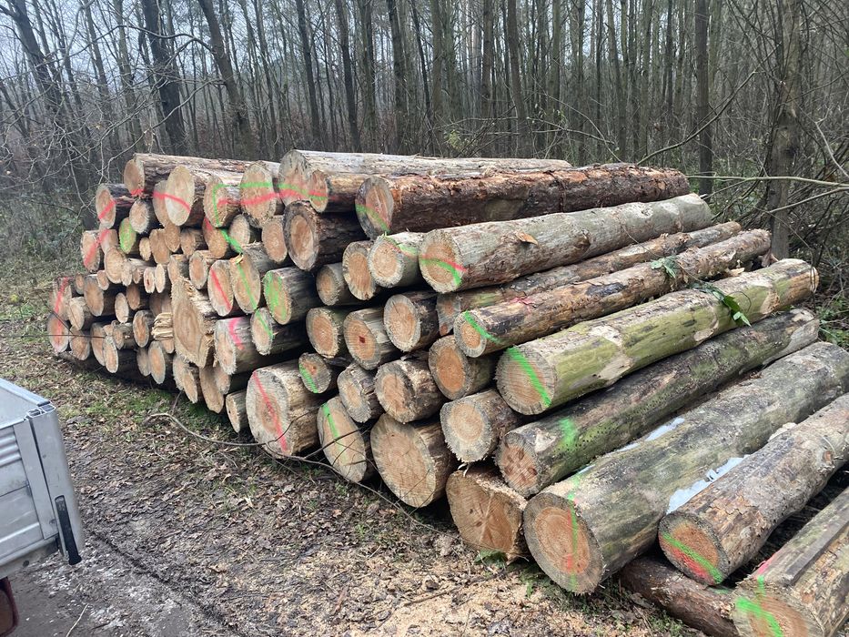 Drewno kominkowe i opałowe