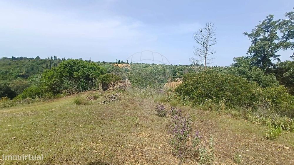 Terreno  para venda — Brogueira, Parceiros De Igreja E Alcorochel, Santarém