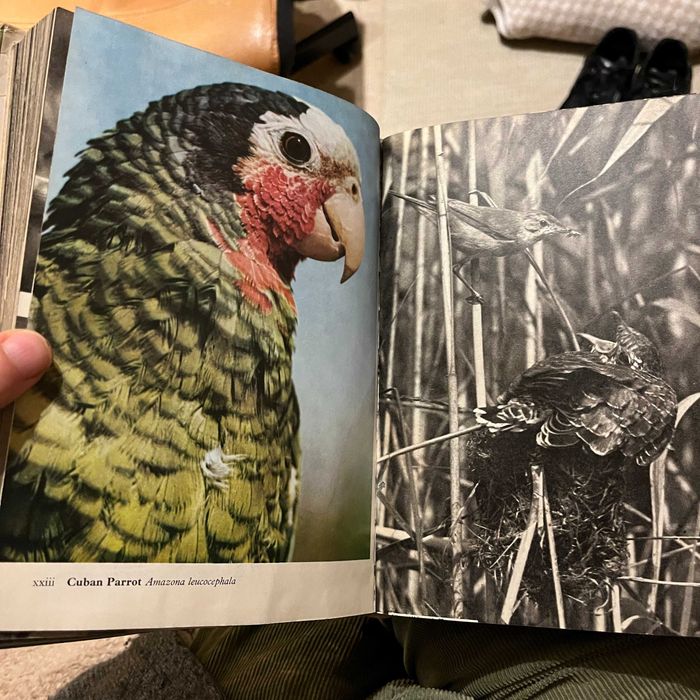 The Pictorial Encyclopedia of Birds