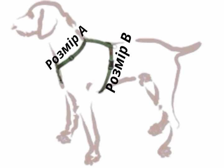 Шлейка для собаки Canem брезентова