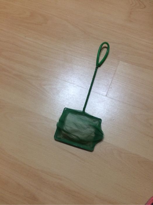 Guelrito para aquario