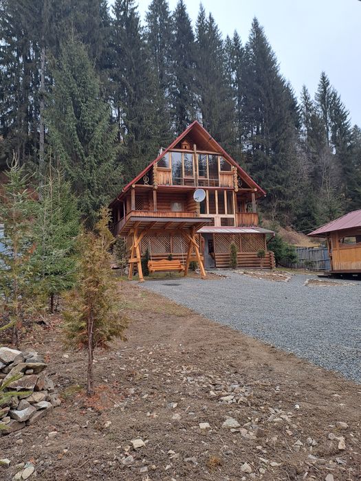 Синевир Карпати відпочинок в Синевирській косиці