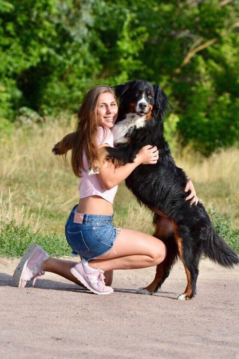 Зоогостиница .Отель для собак.Передержка животных/отель для животных