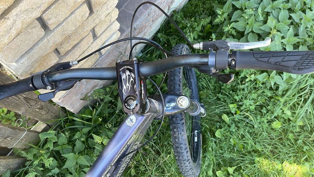 Двухпідвіс SWITCH