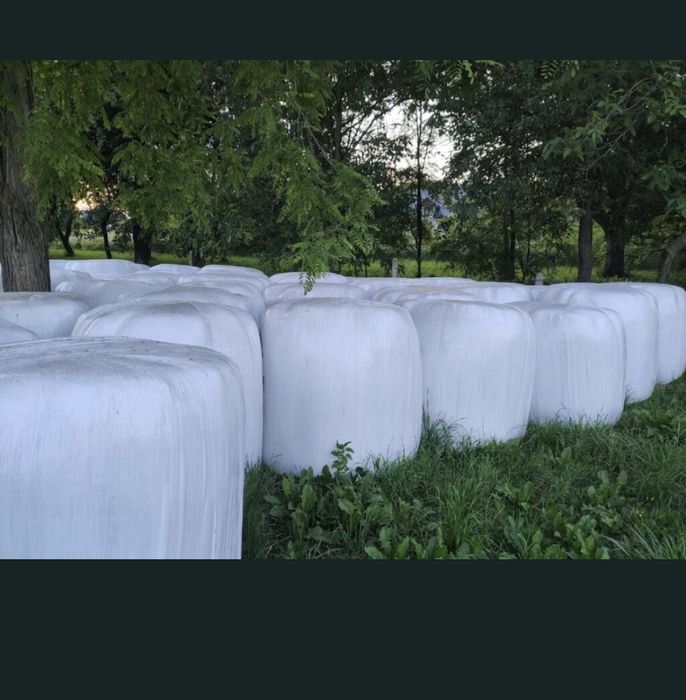 Sianokiszonka bale z transportem