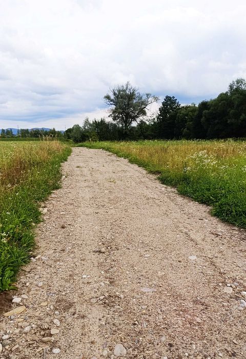 Działka budowlana z pozwoleniem na budowę domu szeregowego! -60tys! 10a świniarsko - 4km do rynku w Sączu - Widok 5