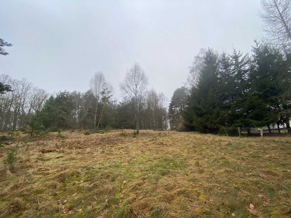 PIękna okolica, blisko jeziora