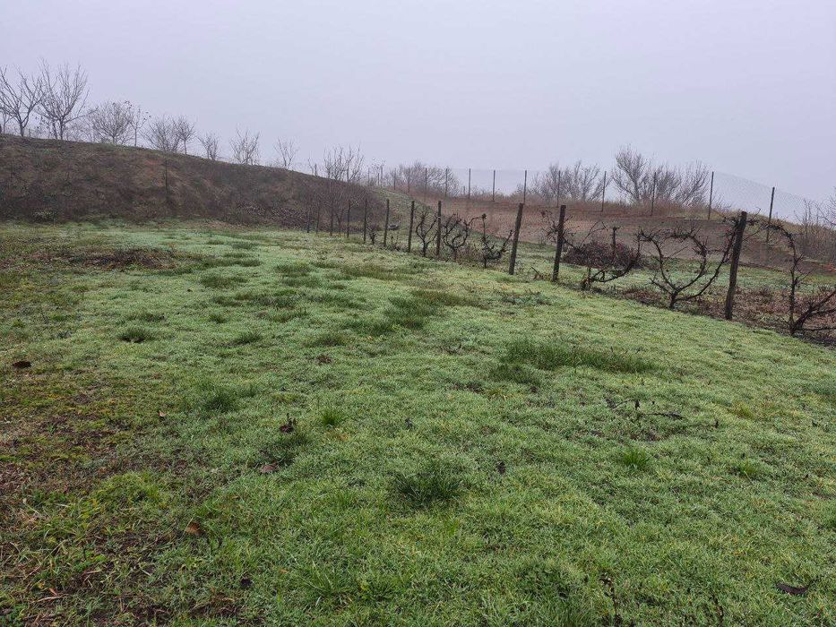 Продам будинок м. Зміїв