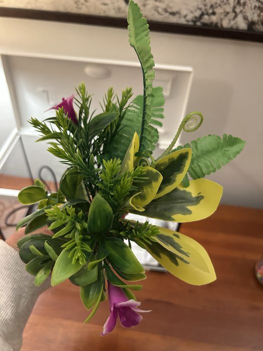 Aquário + todos os acessórios