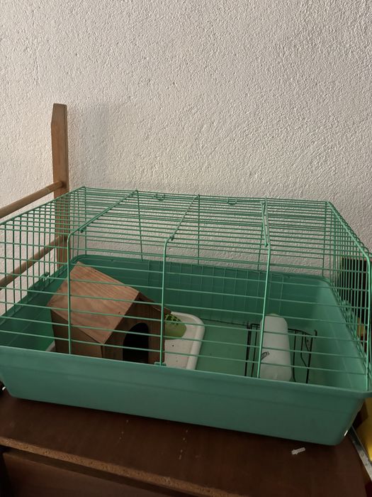 Gaiola para Hamster/Porco da Índia