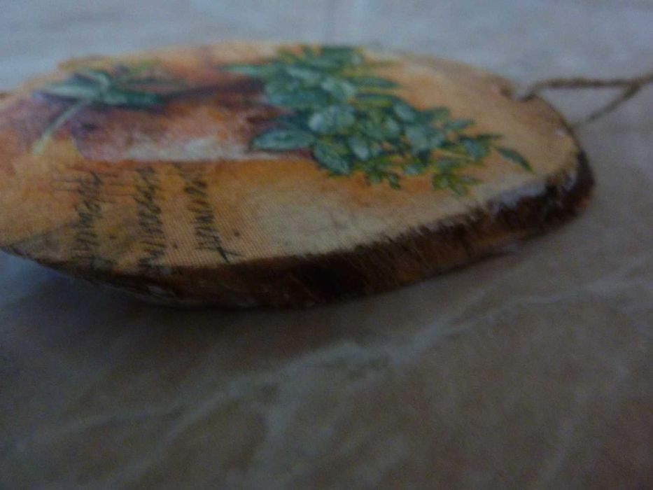 Botaniczny obrazek dwustronny plaster zajączek