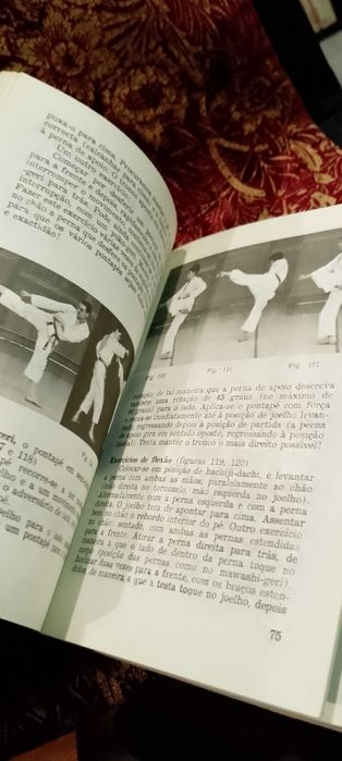 Karate (bases) - Albrecht Pflüger - I volume