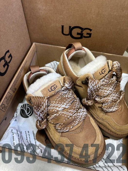 Жіночіі Ugg Кросівки Кеди ugg lowmel жіночі Ugg Угги Уггі Кросівки Ugg