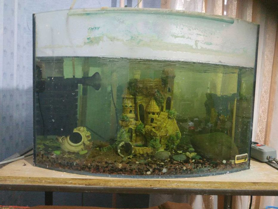 Акваріум, анцитрус, з усіма приладами