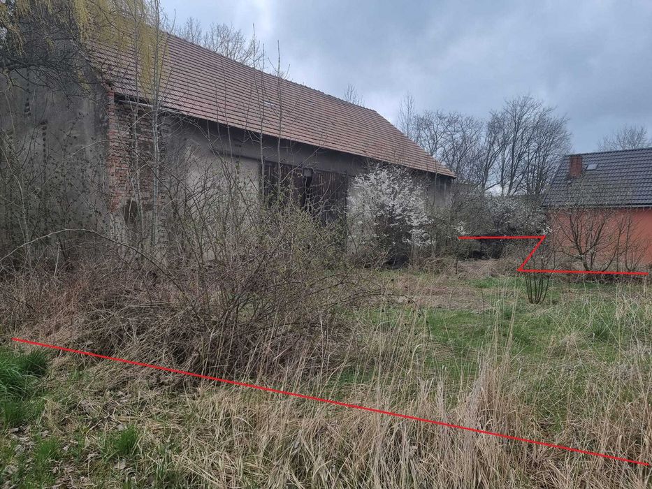 Działka siedliskowa 4200 m² we wsi Niedźwiednik 57-224 koło Ziębic [3 działki] - Widok 3