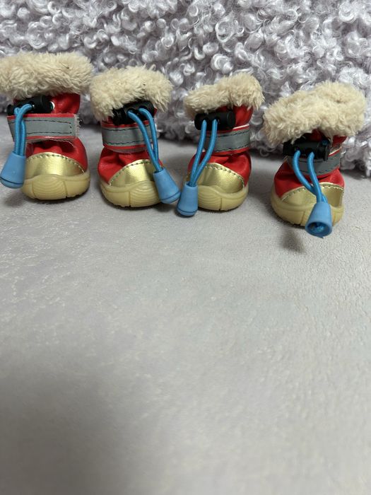 Сапожки для собачки