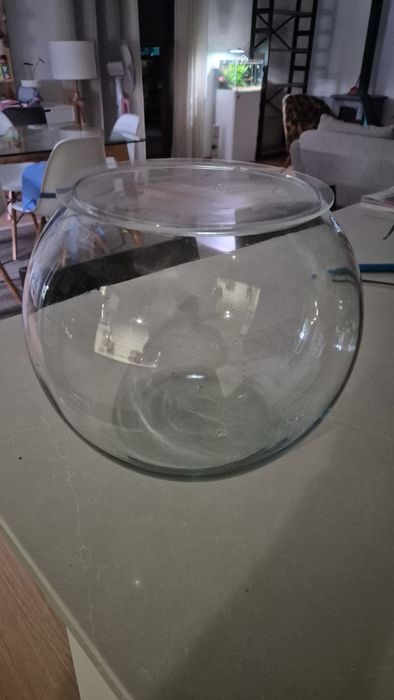 Globo de vidro 25cm diâmetro