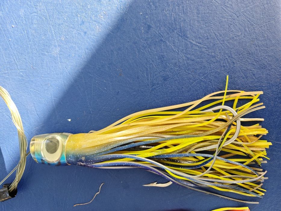 Amostras pesca curricar atum espadarte ....