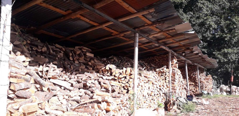 Venda de lenha seca à  carga e ao saco