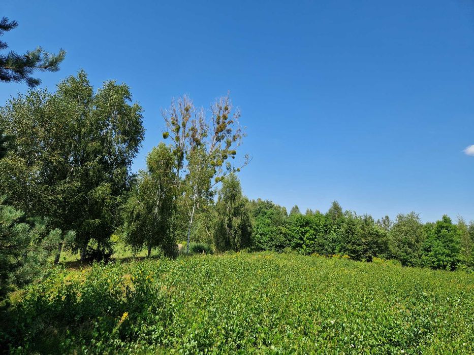 Działka budowlana 2210 m² | MPZP | możliwość podziału - Widok 3