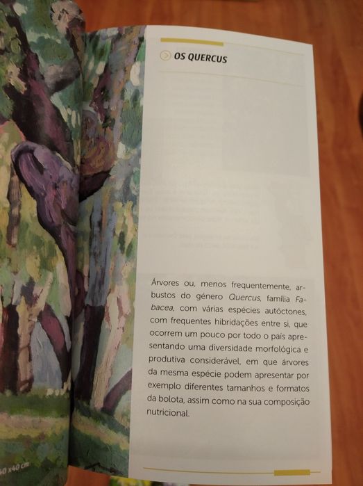 2 Guias práticos "Ervas silvestres" e "Frutos silvestres comestíveis "