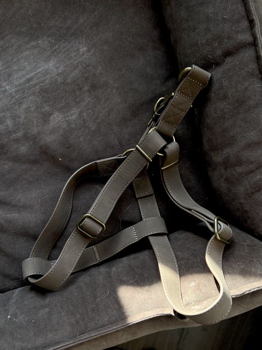 Амуніція / шлея для собаки середніх та великих порід