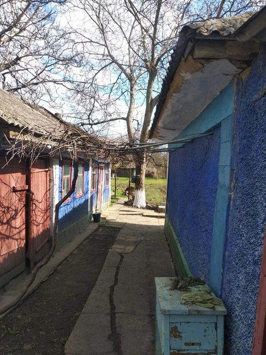 Сдам дом в Одесской области.