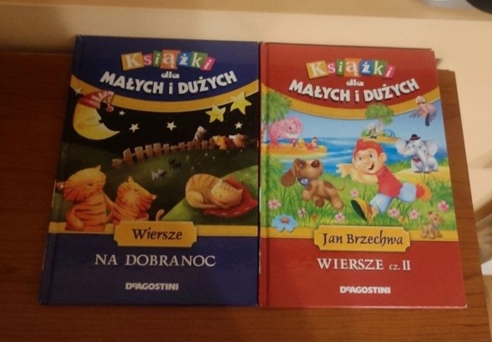 Cała duża kolekcja Książki dla Małych i Dużych 81szt.