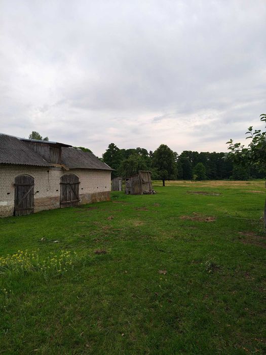 Siedlisko nad rzeką - Widok 3