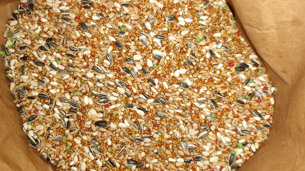 Karma dla papug średnich Kampol 10kg Paś