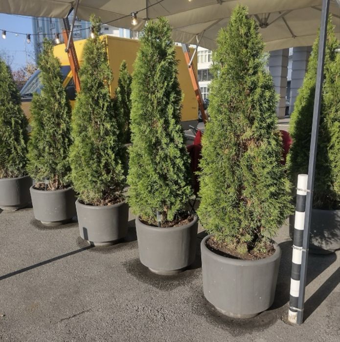 Урны бетонные ,вазоны ,столбы рабица,дорожный бордюр