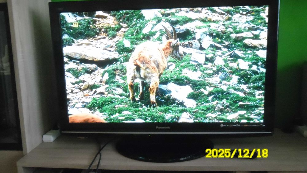 Sprzedam piękny telewizor plazmowy - 52 cale - ( NIEDROGO )  !!!