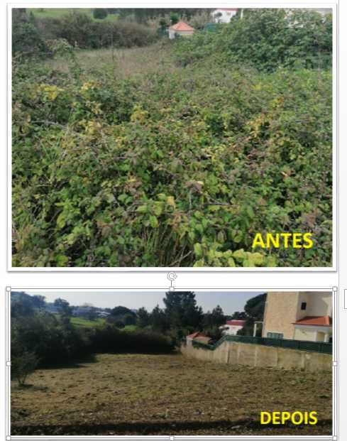 Limpeza de terrenos