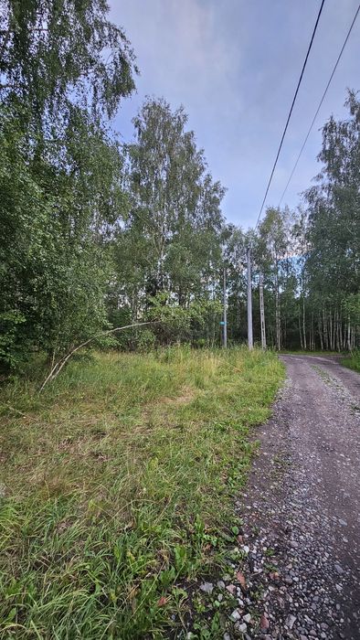 Wyjątkowe zadrzewione działki w Białymstoku / Dojlidy