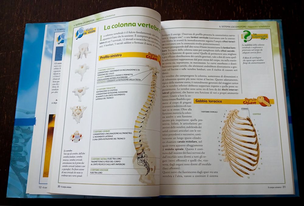 Livro IL CORPO UMANO Grande Atlante di Anatomia