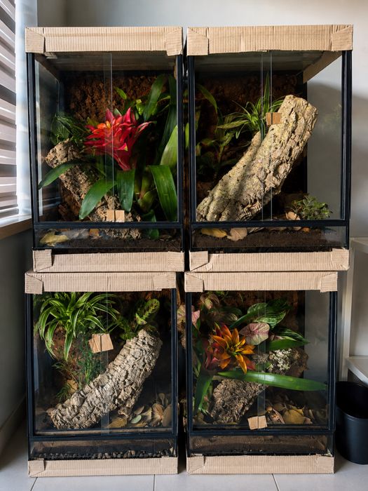 Terrarium 40x40x60