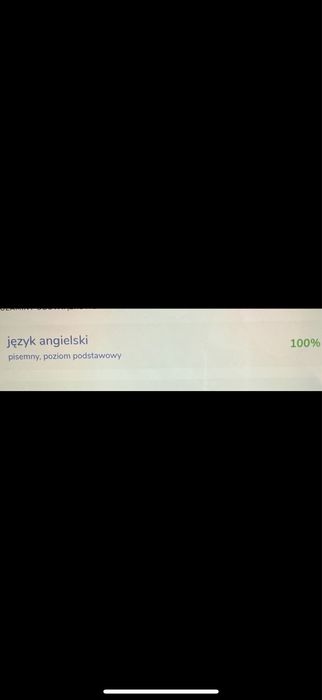 Indywidualne zajęcia online z języka angielskiego