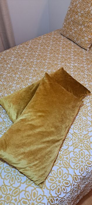 Black Cat Cushions
